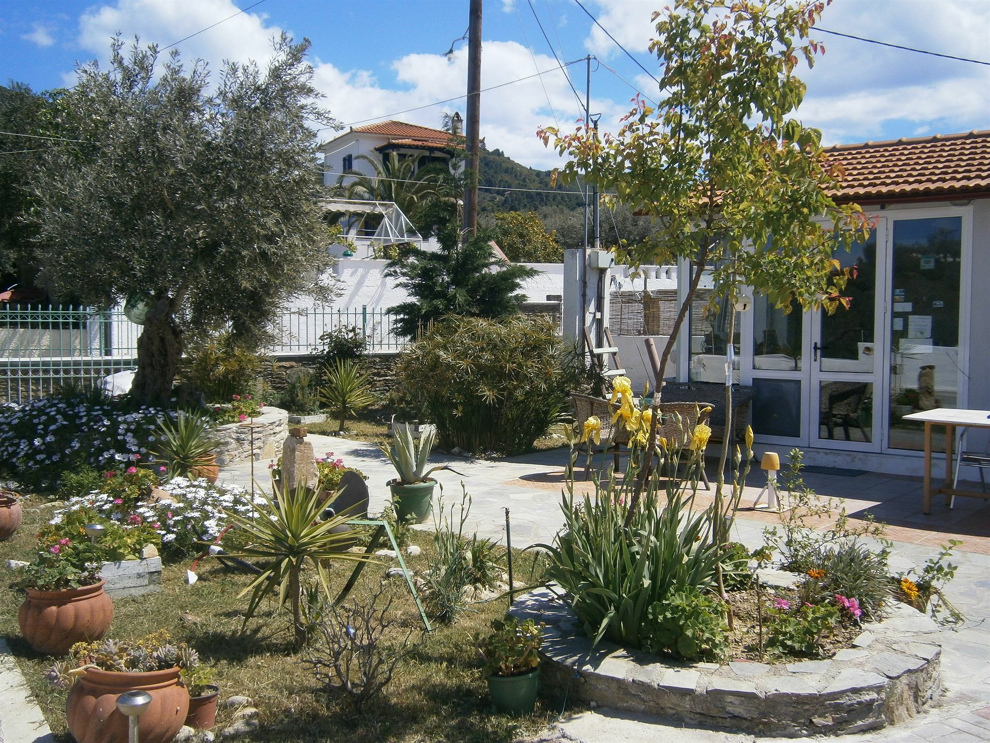 Liofoto Daire Skopelos Dış mekan fotoğraf